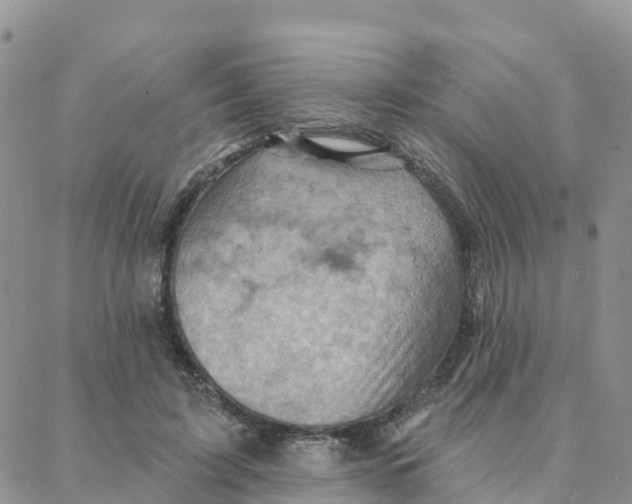 X0000088380595200706121147