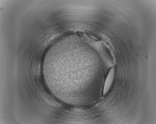 X0000088380596200706121147