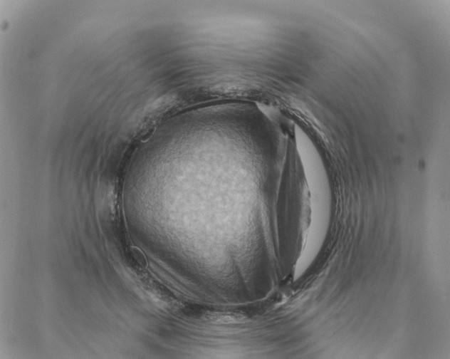 X0000088380597200706121147