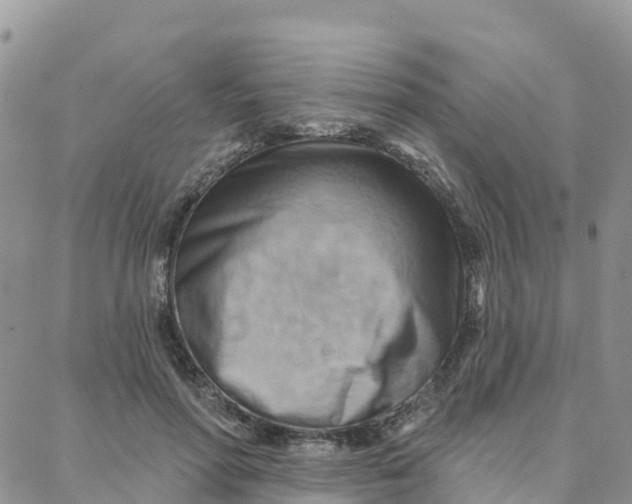 X0000088380598200706121147