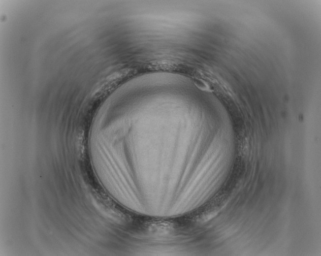 X0000088380599200706121147