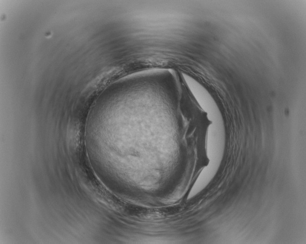 X0000088380600200706121147