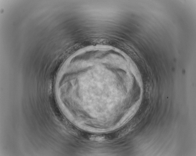 X0000088380602200706121147