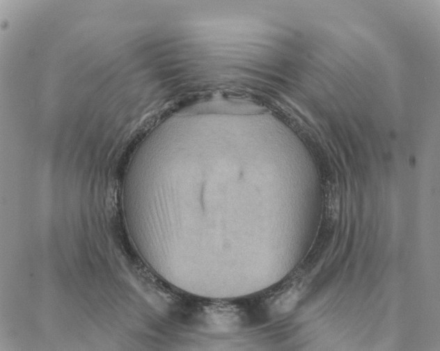 X0000088380603200706121147