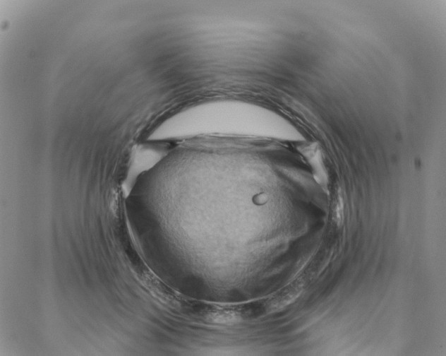 X0000088380604200706121147