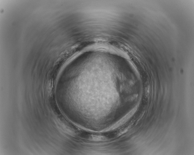 X0000088380605200706121147