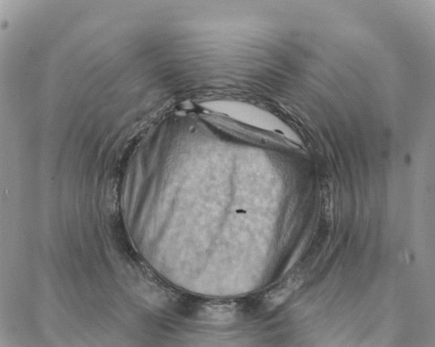 X0000088380606200706121147