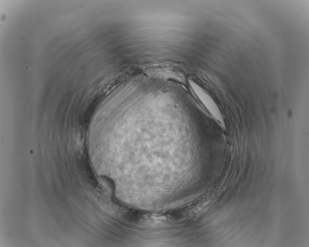 X0000088380607200706121147