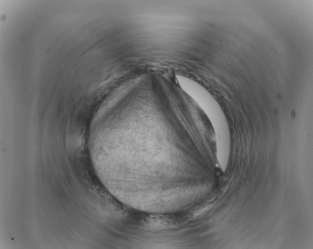 X0000088380608200706121147