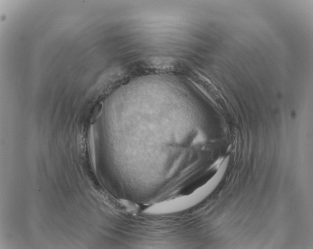 X0000088380609200706121147