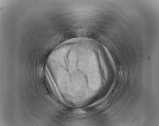 X0000088380610200706121147