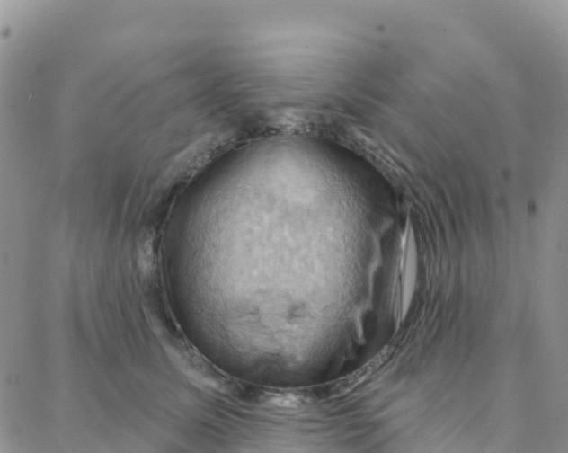 X0000088380611200706121147