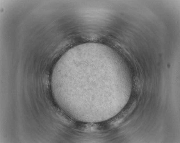 X0000088380612200706121147