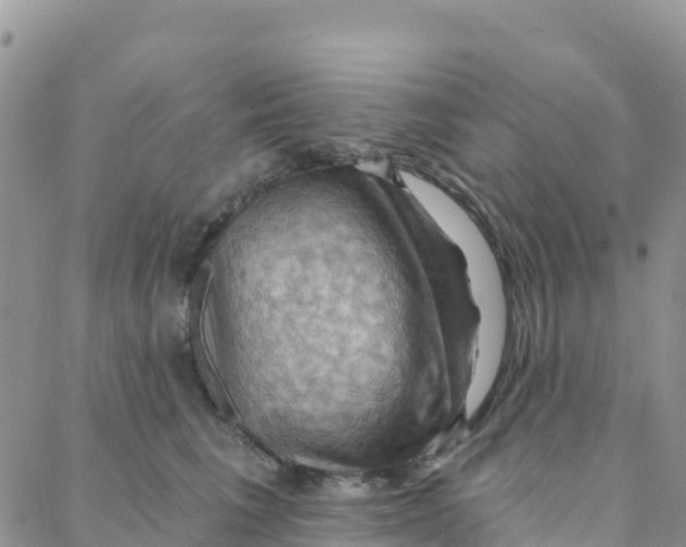 X0000088380613200706121147