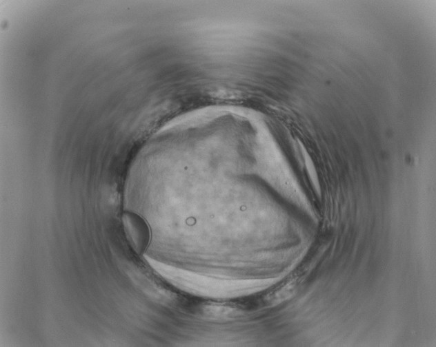 X0000088380614200706121147