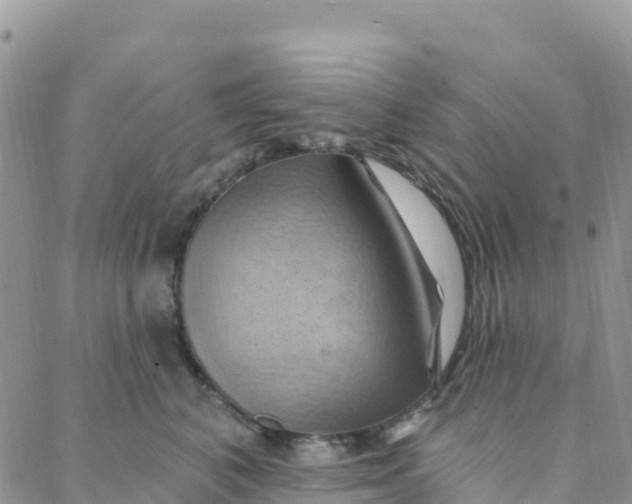 X0000088380616200706121146