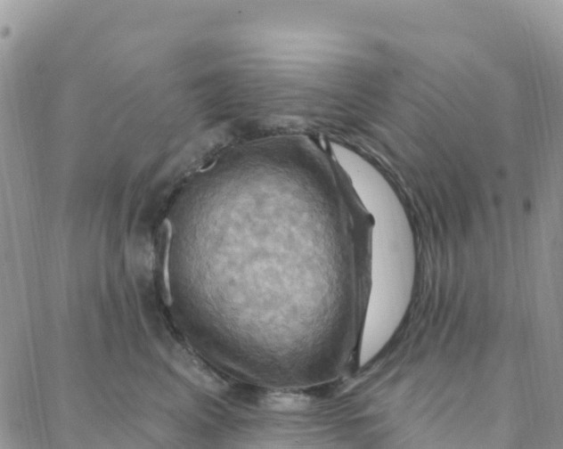 X0000088380617200706121146