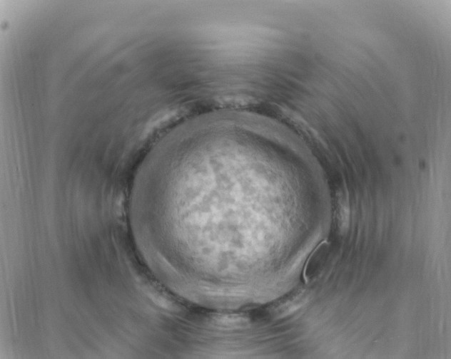 X0000088380619200706121146