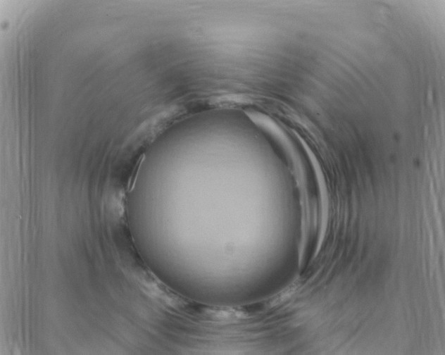 X0000088380621200706121146