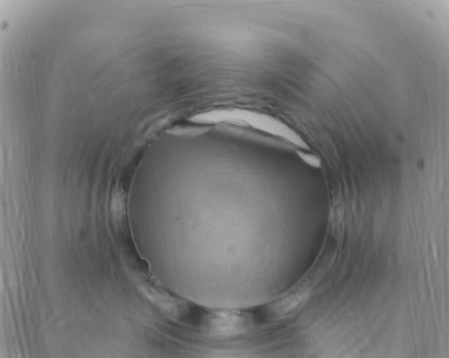 X0000088380623200706121146