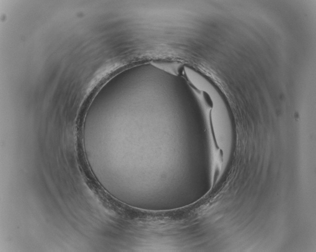 X0000088380626200706121146