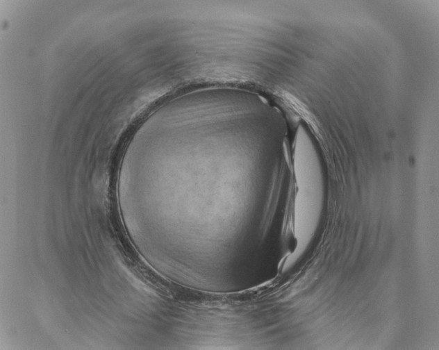 X0000088380627200706121146