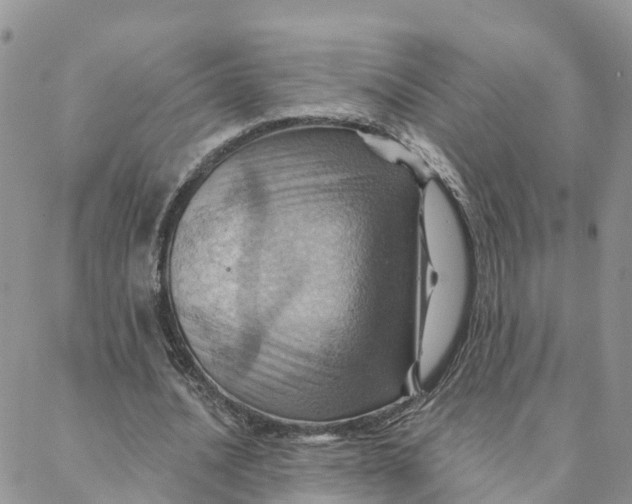 X0000088380628200706121146