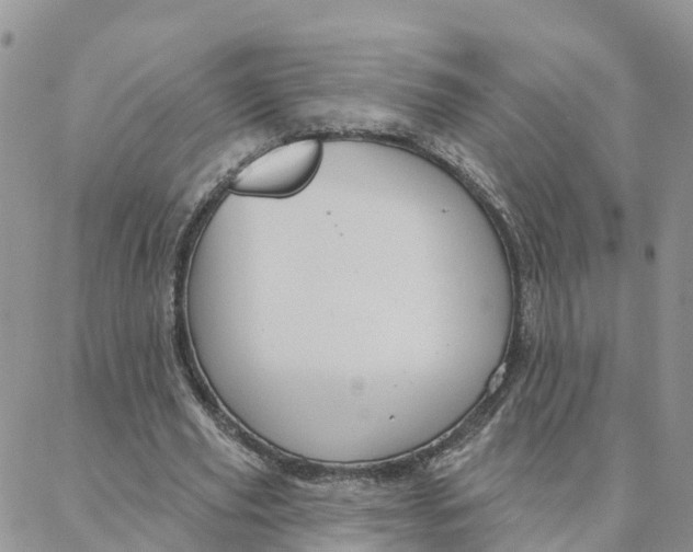 X0000088380629200706121146