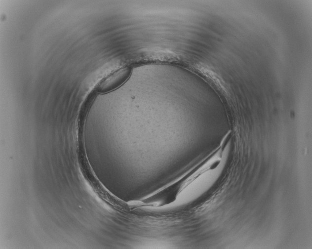 X0000088380630200706121146