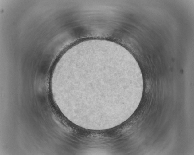 X0000088380632200706121146