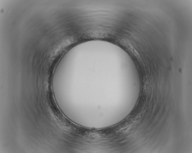 X0000088380635200706121146