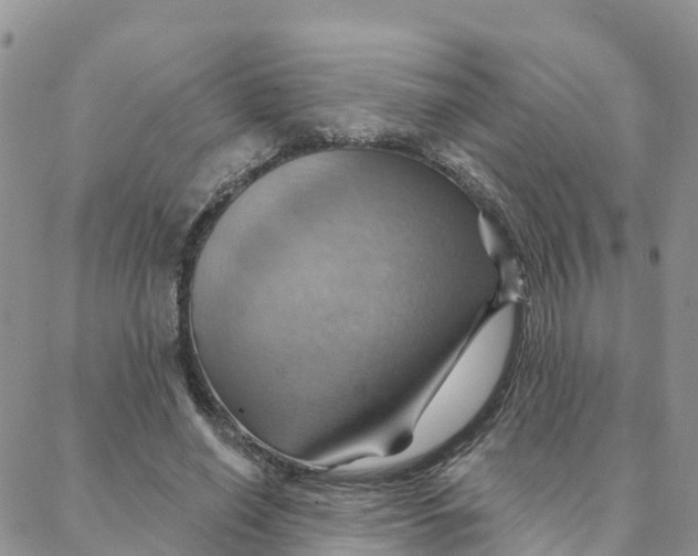 X0000088380638200706121146