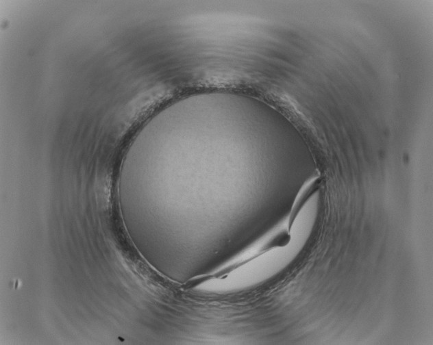 X0000088380640200706121146