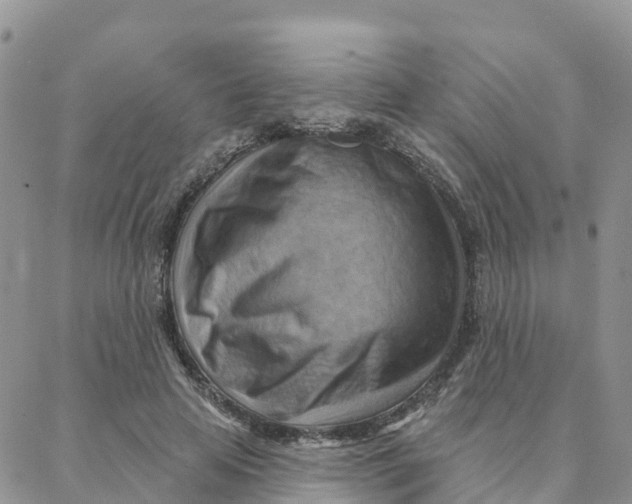 X0000088380641200706121146