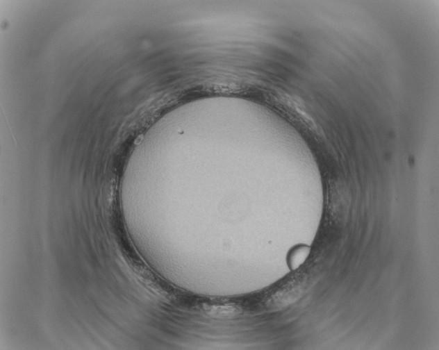 X0000088380645200706121146