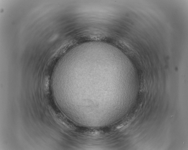 X0000088380646200706121146