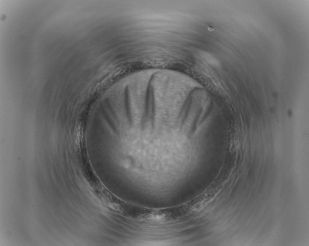 X0000088380647200706121146