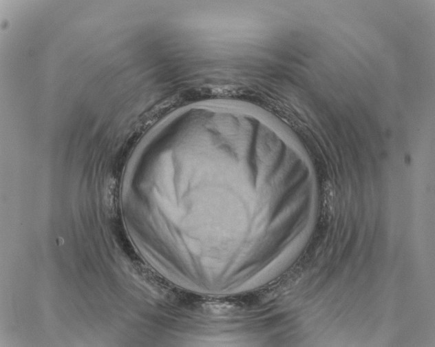 X0000088380650200706121146