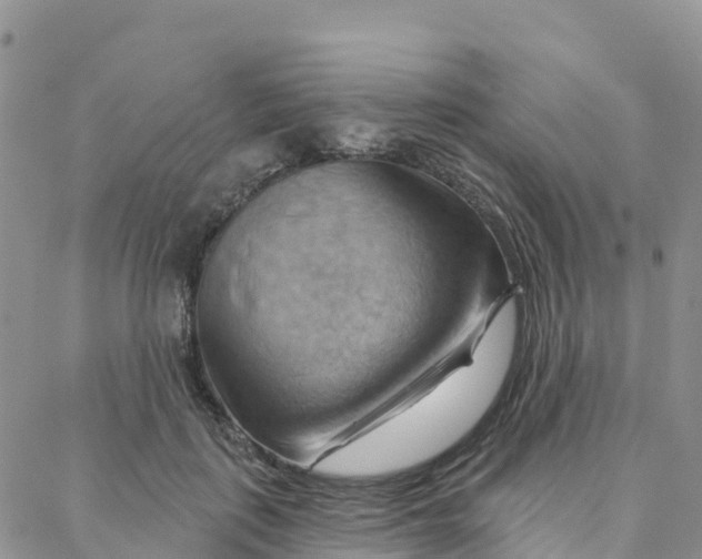 X0000088380651200706121146