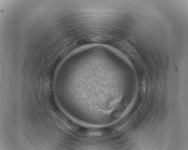 X0000088380653200706121146