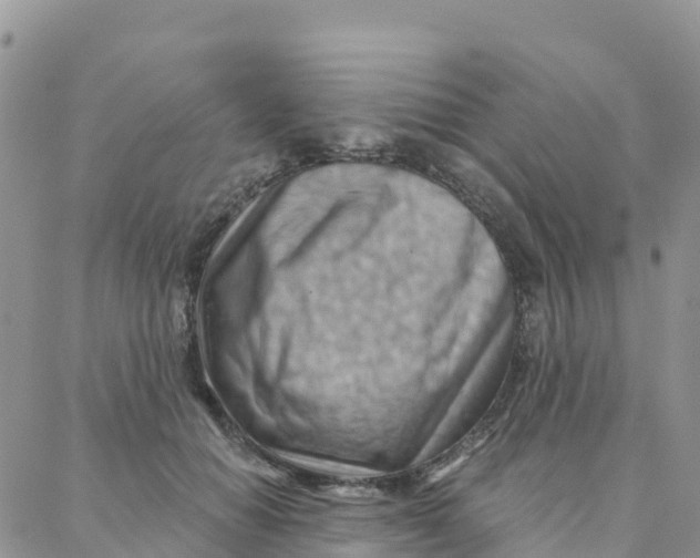 X0000088380654200706121146