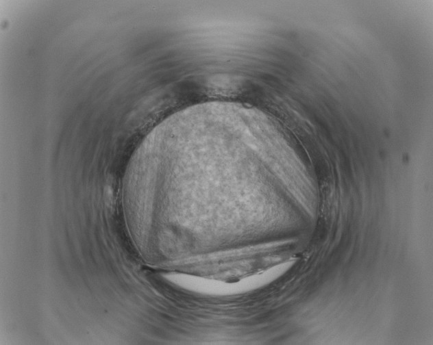 X0000088380655200706121146