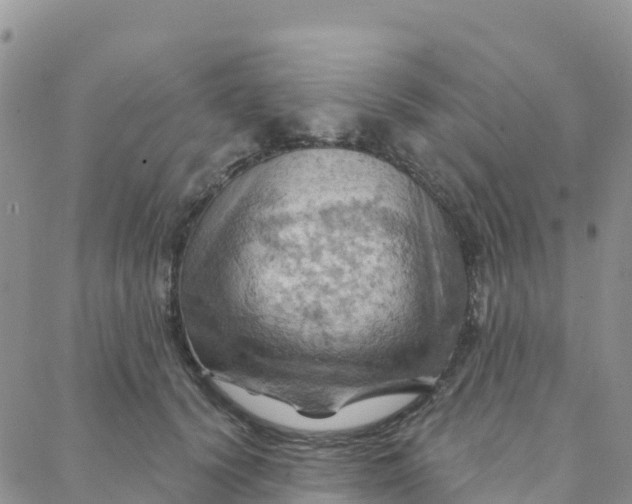 X0000088380656200706121146