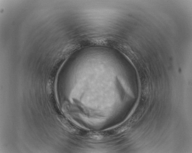 X0000088380658200706121146