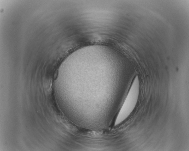 X0000088380660200706121146