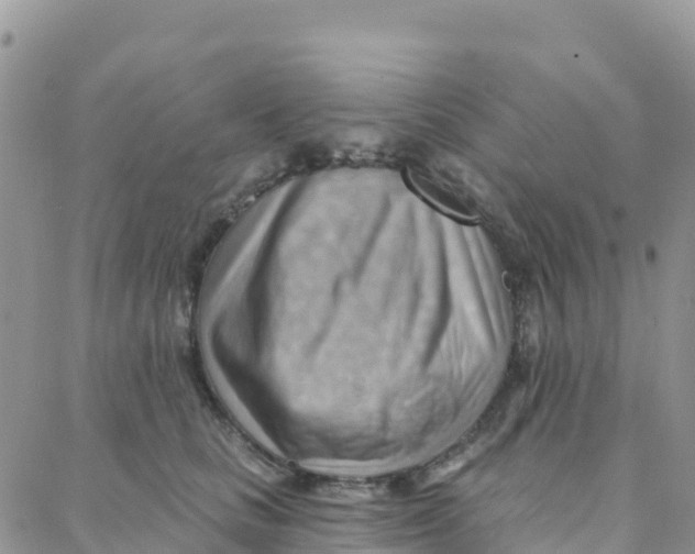 X0000088380661200706121146