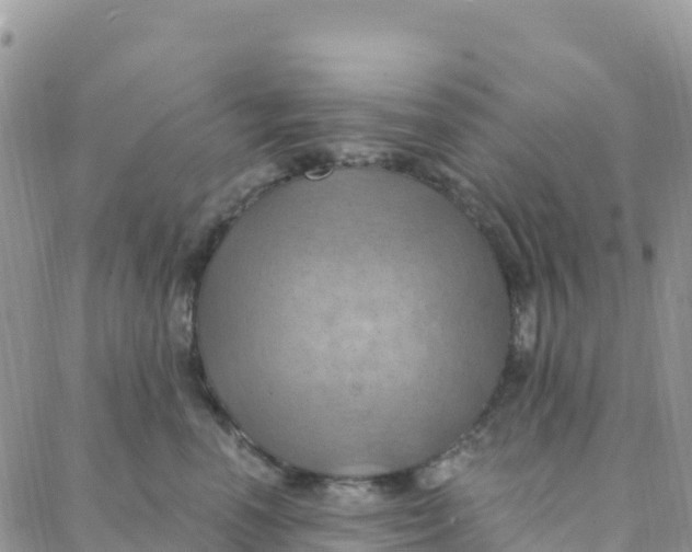 X0000088380666200706121146