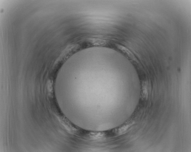 X0000088380667200706121146