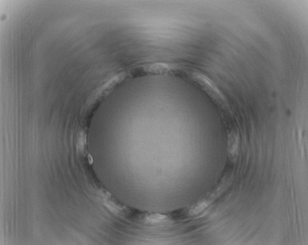 X0000088380669200706121146