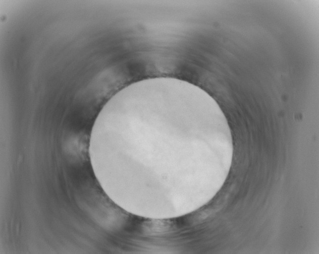 X0000088380672200706121146